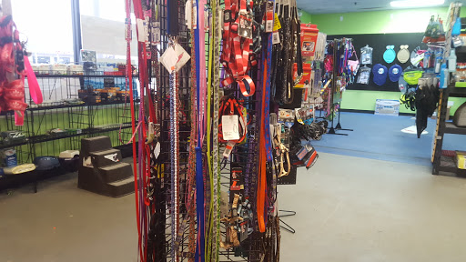Pet Supply Store «R&S Pet Supplies», reviews and photos, 275 NY-25A #8, Miller Place, NY 11764, USA
