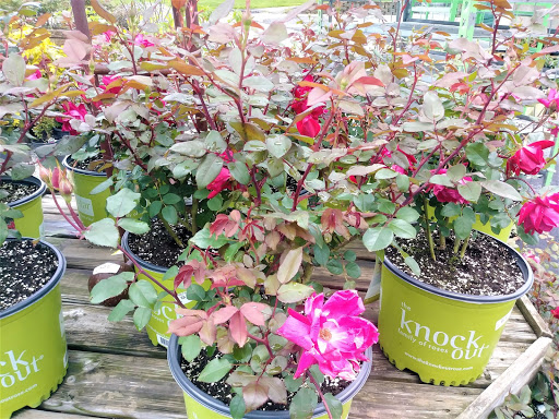 Florist «Robben Florist & Garden Center», reviews and photos, 352 Pedretti Ave, Cincinnati, OH 45238, USA