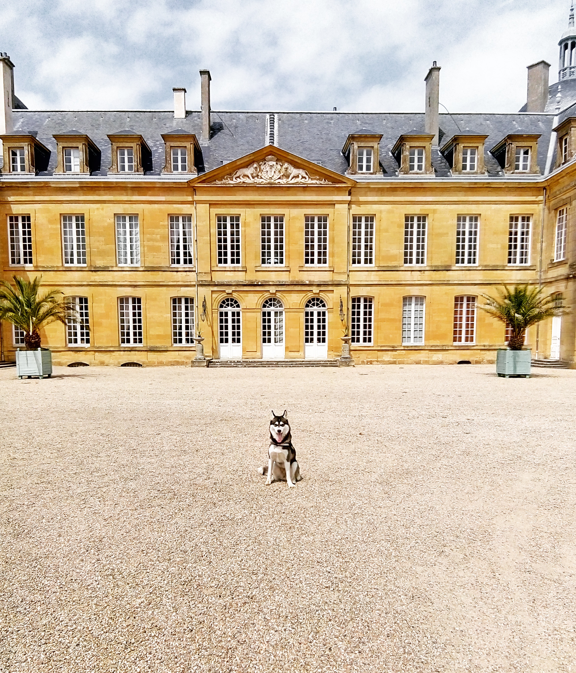 Photo n° 1 de l'avis de Céline.a fait le 29/07/2018 à 16:52