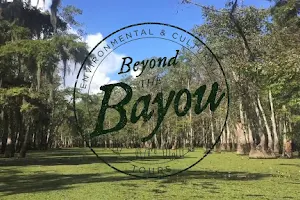 Beyond the Bayou Tours image