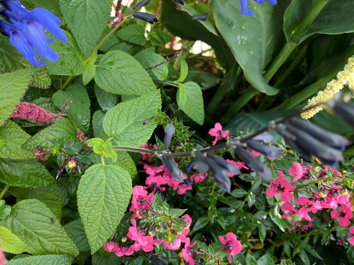 Zoo «Red River Zoo», reviews and photos, 4255 23rd Ave S, Fargo, ND 58104, USA