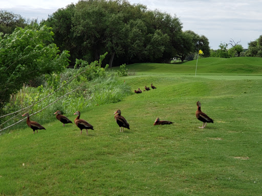 Public Golf Course «Hyatt Hill Country Golf Club», reviews and photos, 9800 Hyatt Resort Dr, San Antonio, TX 78251, USA