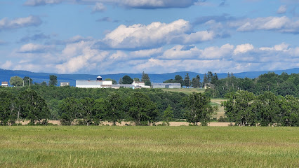 Wildlife Viewing Area