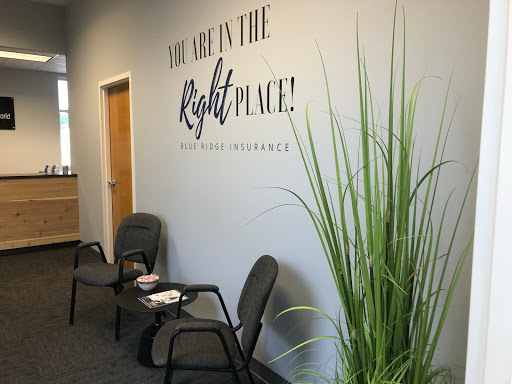 Insurance Agency «Blue Ridge Insurance», reviews and photos