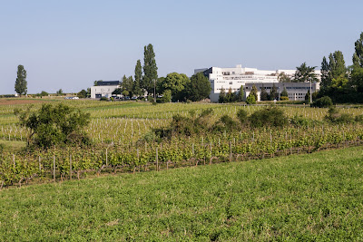 Domaine du Haut Bellay à Montreuil-Bellay