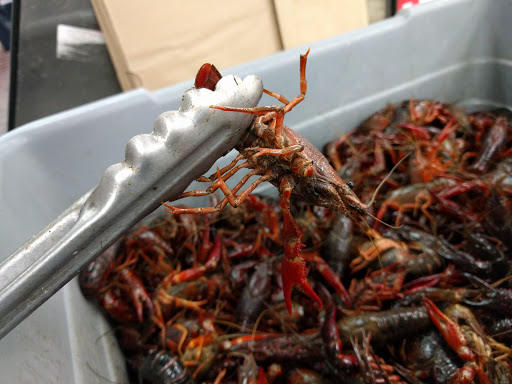 Grocery Store «Island Pacific Supermarket», reviews and photos, 11481 South St, Cerritos, CA 90703, USA