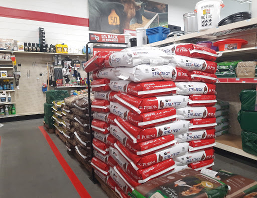 Home Improvement Store «Tractor Supply Co.», reviews and photos, 8447 FL-54, New Port Richey, FL 34655, USA