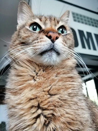 Tierarztpraxis Fichtenstraße unter Niedernhausen, 