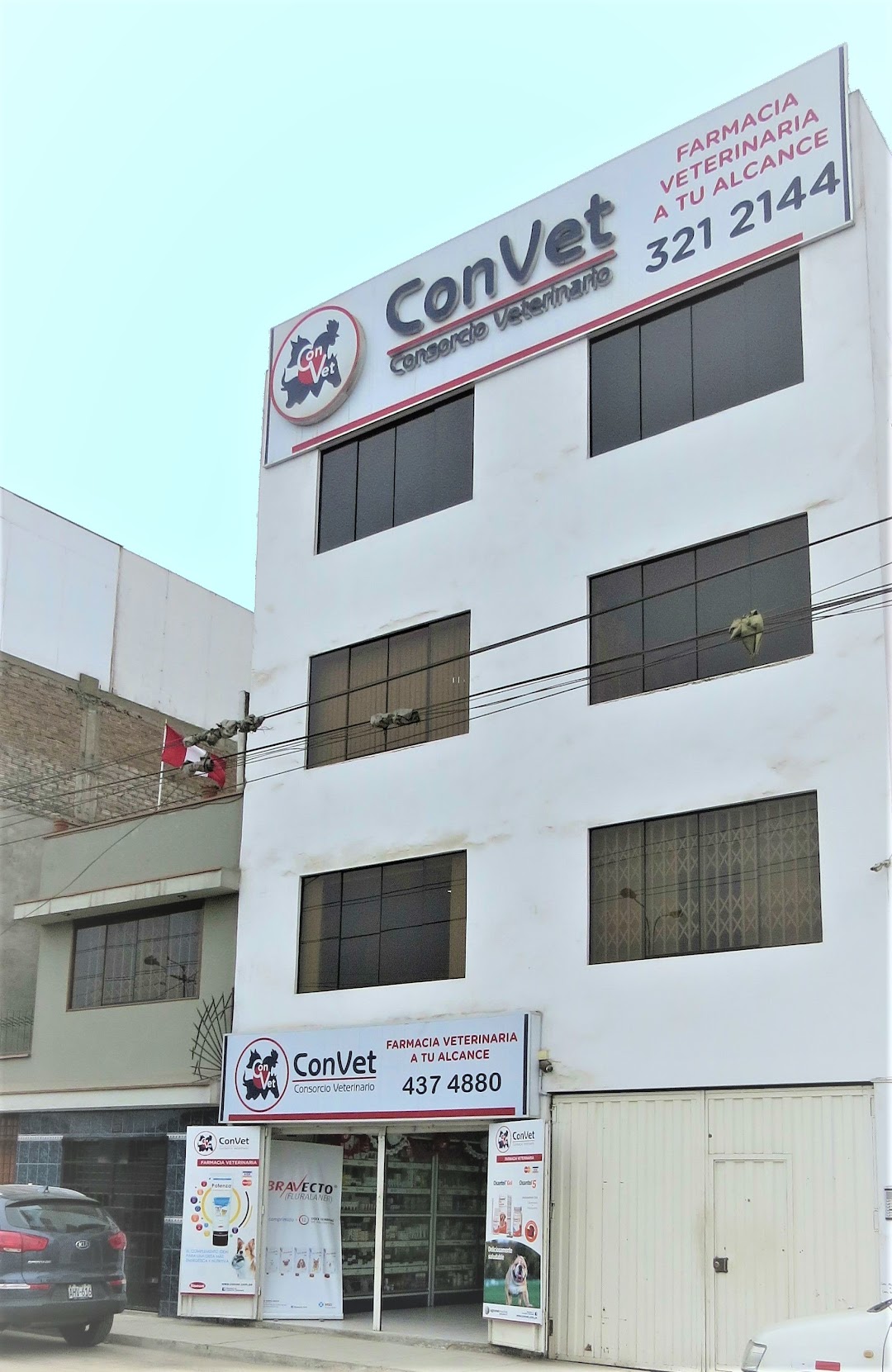 ConVet - Central
