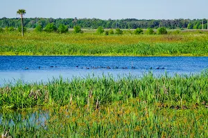 Sweetwater Wetlands Park image