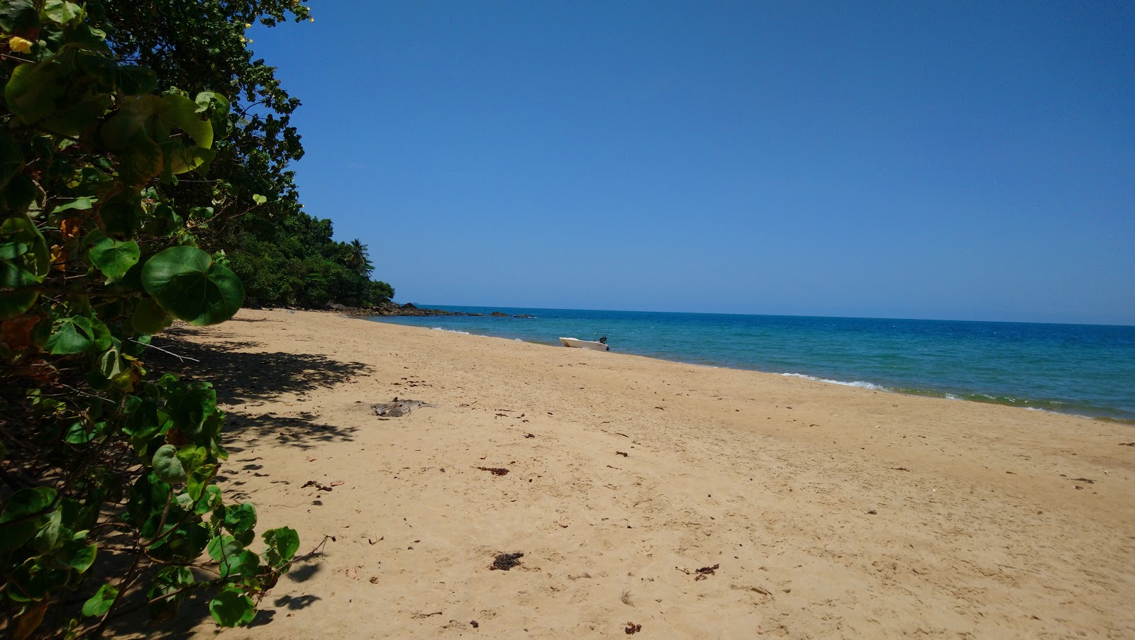 Φωτογραφία του Bingil Bay με επίπεδο καθαριότητας πολύ καθαρό