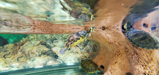 Pet Supply Store «Petco Animal Supplies», reviews and photos, 855 E Bidwell St, Folsom, CA 95630, USA