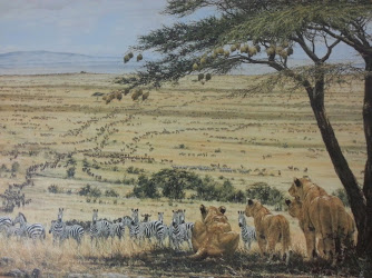 Out of Africa-Montana Gallery