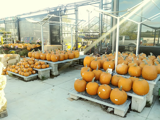 Home Improvement Store «The Home Depot», reviews and photos, 530 Turnpike Rd, Shrewsbury, MA 01545, USA