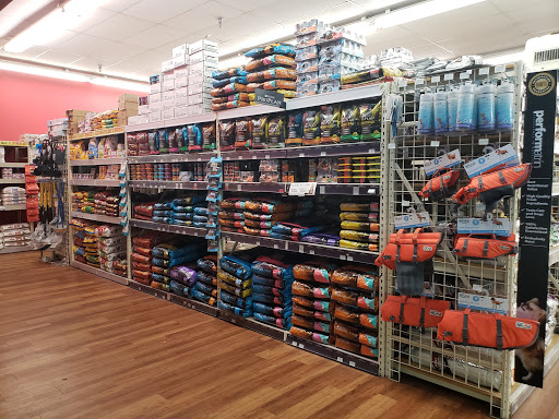 Pet Supply Store «Pet Supermarket», reviews and photos, 1125 Royal Palm Beach Blvd, Royal Palm Beach, FL 33411, USA