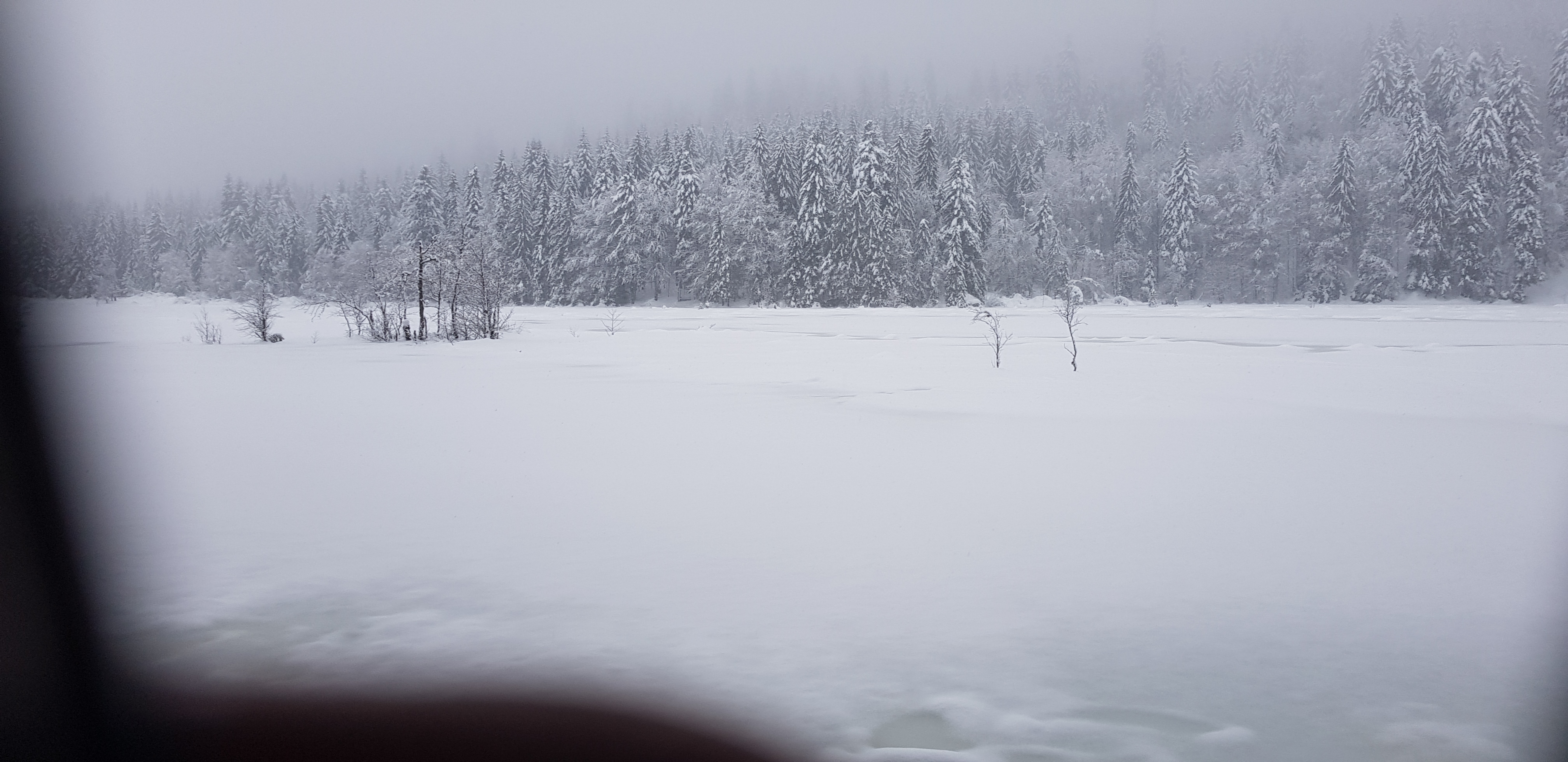 Photo n° 1 de l'avis de Ludovic.* fait le 16/01/2021 à 17:14