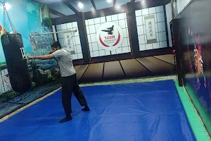Tiger Martial Arts Academy OF Pakistan image