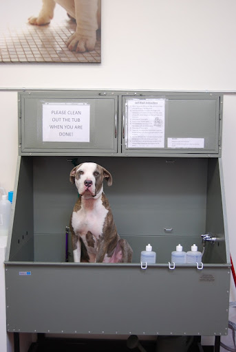 Dog Day Care Center «The Bowhaus Pet Company», reviews and photos, 2472 E Colorado Blvd, Pasadena, CA 91107, USA