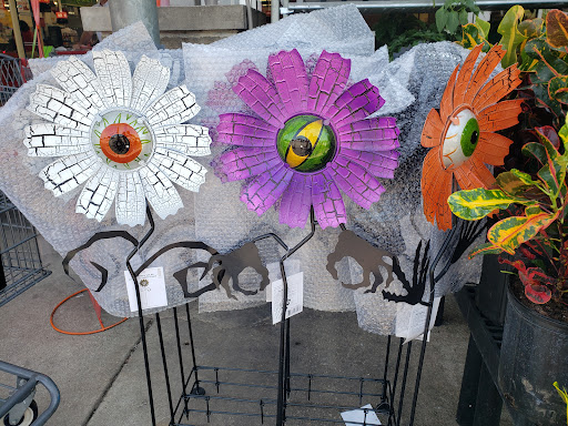 Grocery Store «H-E-B Grocery», reviews and photos, 407 S Adams St, Fredericksburg, TX 78624, USA