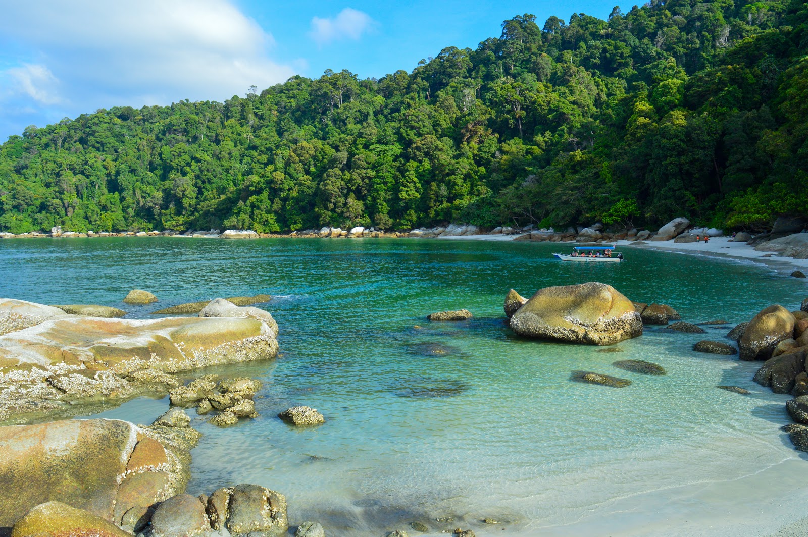 Coral Beach'in fotoğrafı çok temiz temizlik seviyesi ile
