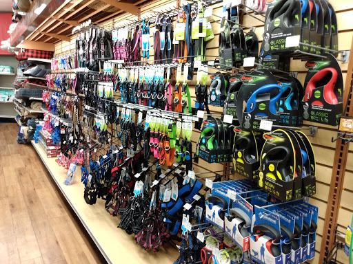 Pet Supply Store «Pet Supermarket», reviews and photos, 1800 W 68th St #140, Hialeah, FL 33014, USA