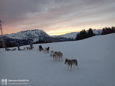 Team Ehawee chiens de traîneau à Auris