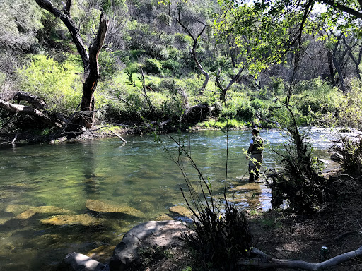 Nature Preserve «UC Davis - Stebbins Cold Canyon Natural Reserve», reviews and photos, CA-128, Winters, CA 95694, USA