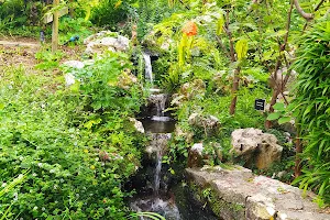 Bayonne Botanical Garden image