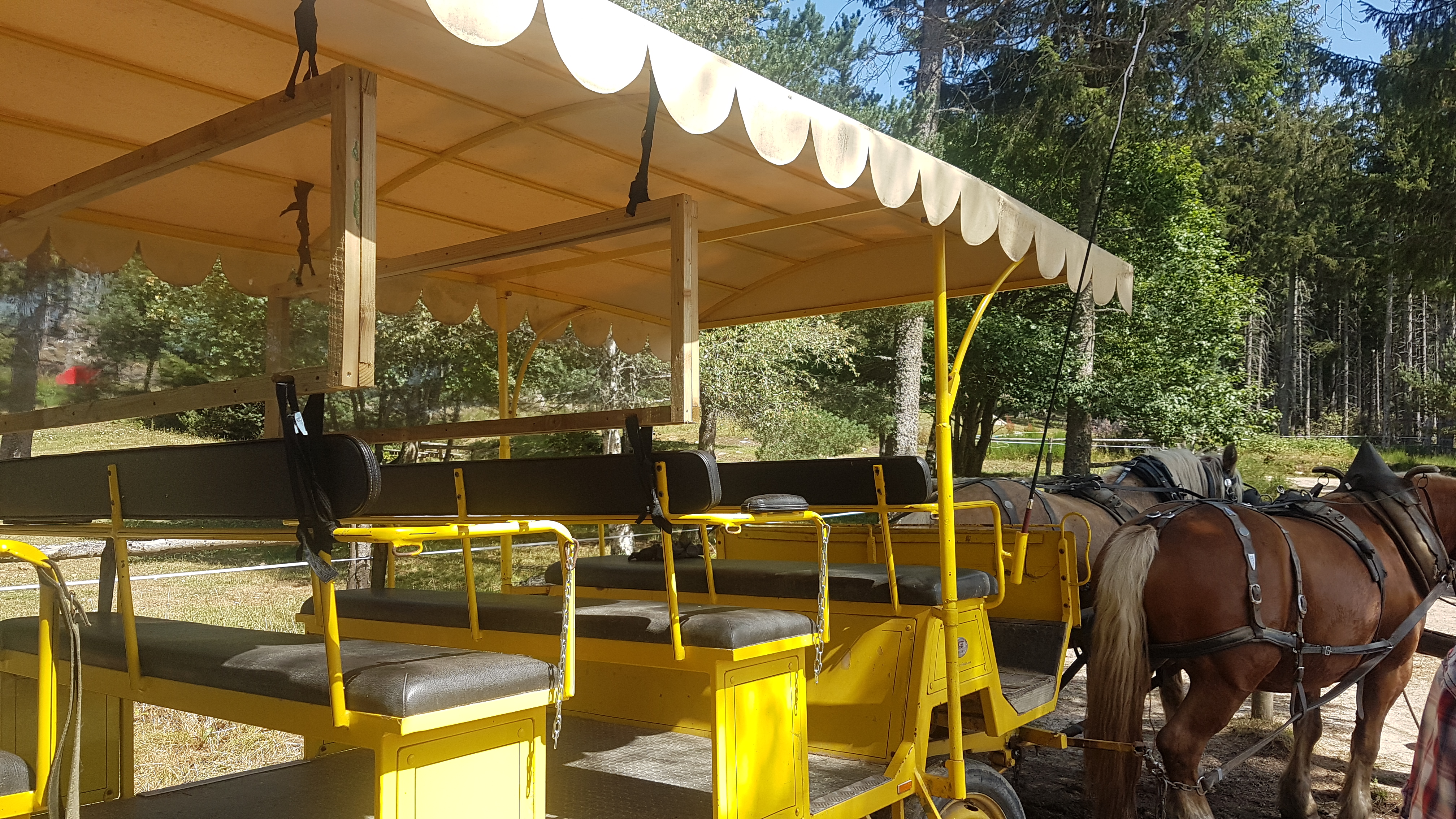 Photo n° 3 de l'avis de Delphine.u fait le 26/08/2020 à 10:24