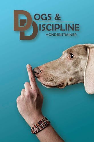 Dogs&Discipline - Hondentrainer