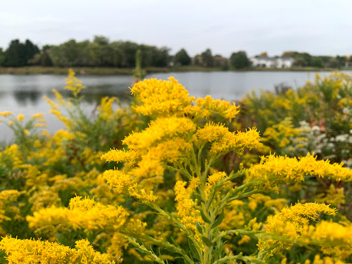 Park «Spring Lake Park», reviews and photos, 396 Springlake Ln, Aurora, IL 60504, USA