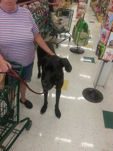 Pet Supply Store «Pet Supplies Plus», reviews and photos, 4405 Milestrip Rd, Blasdell, NY 14219, USA