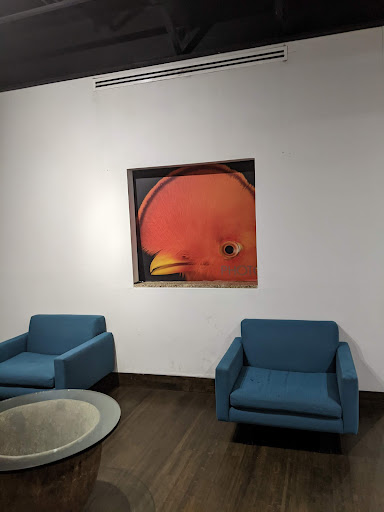 Aquarium «The Dallas World Aquarium», reviews and photos, 1801 N Griffin St, Dallas, TX 75202, USA