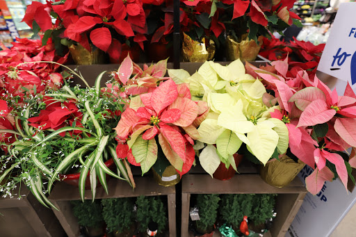 Grocery Store «Food Lion», reviews and photos, 2060 Yellow Springs Rd, Frederick, MD 21702, USA