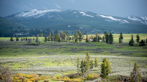 National Park «Yellowstone National Park», reviews and photos