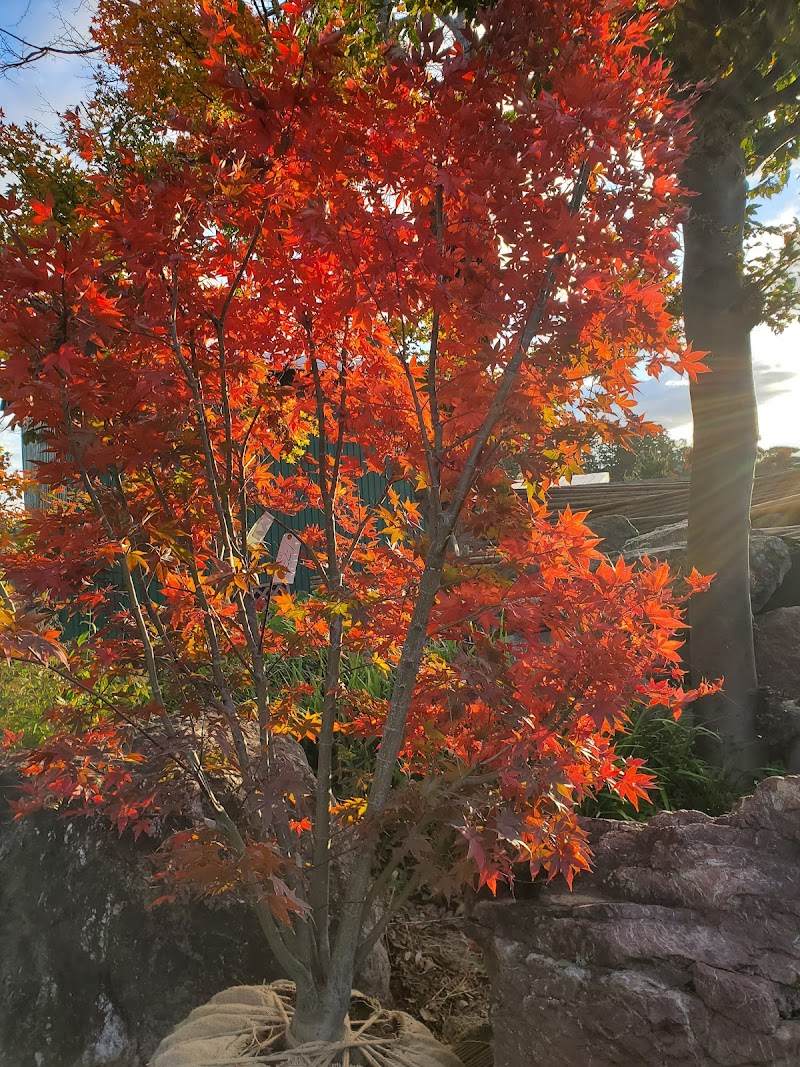 丸山隆光園