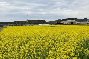 Mushirouchi Nanohana Park image