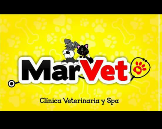 Opiniones de Marvet clínica Veterinaria Y Spa en Tacna - Veterinario