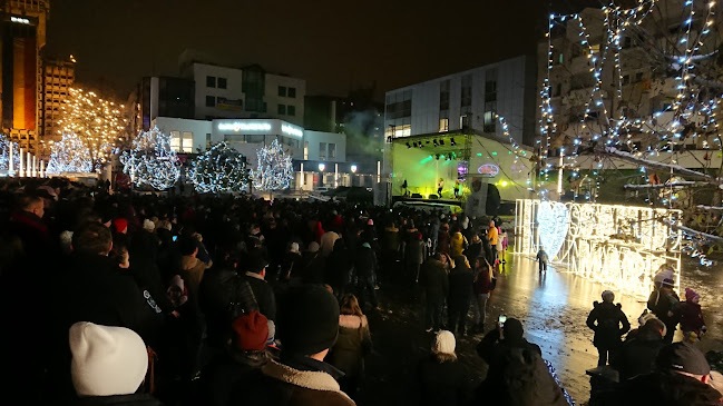 Christmas Market Satu Mare - <nil>