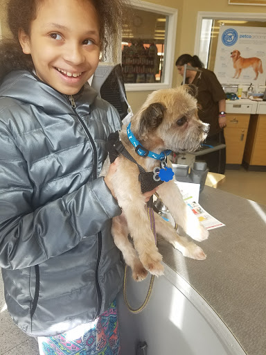 Pet Supply Store «Petco Animal Supplies», reviews and photos, 682 Broadway #1n, Saugus, MA 01906, USA