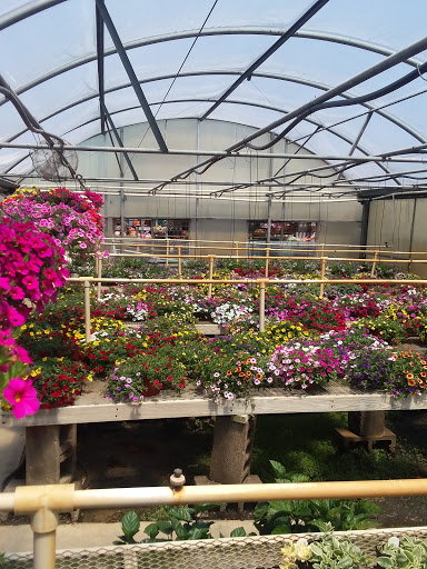 Garden Center «The Plant Place», reviews and photos, 6114 Market St, Wilmington, NC 28405, USA