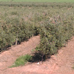 Photo n°3 de l'avis de Richard. fait le 30/03/2017 à 18:13 sur le  Hotel Vila Galé Alentejo Vineyards à Beja