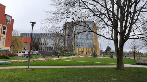 Design universities in Birmingham