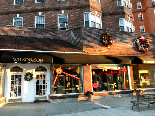 Appraiser «Wilson & Son Jewelers», reviews and photos, 18 Chase Rd, Scarsdale, NY 10583, USA