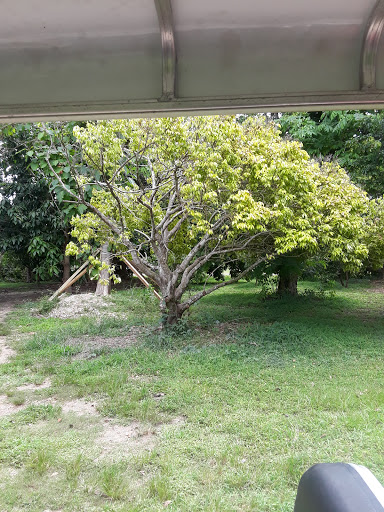 Country Club «Redland Golf & Country Club», reviews and photos, 24451 SW 177th Ave, Homestead, FL 33031, USA