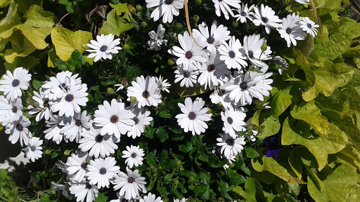 Auto Repair Shop «Computune Certified Auto Repair», reviews and photos, 1272 N 300 W, Provo, UT 84604, USA