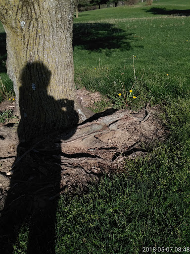 Golf Club «Sahm Golf Course», reviews and photos, 6801 E 91st St, Indianapolis, IN 46250, USA