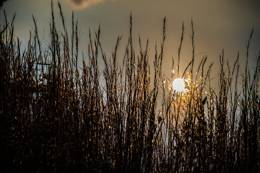 Golf Course «Olde Atlanta Golf Club», reviews and photos, 5750 Olde Atlanta Pkwy, Suwanee, GA 30024, USA