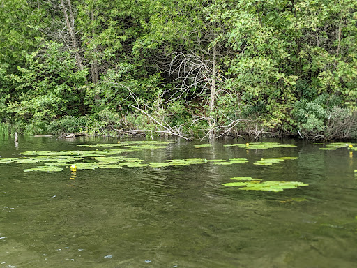 Canoe & Kayak Rental Service «Crystal River Outfitters Recreational District», reviews and photos, 6249 River Rd, Glen Arbor, MI 49636, USA