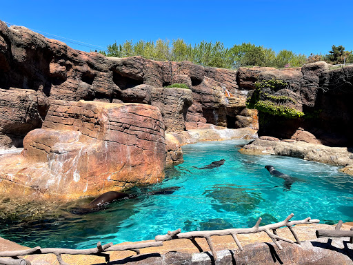 Zoo «Indianapolis Zoo», reviews and photos, 1200 W Washington St, Indianapolis, IN 46222, USA